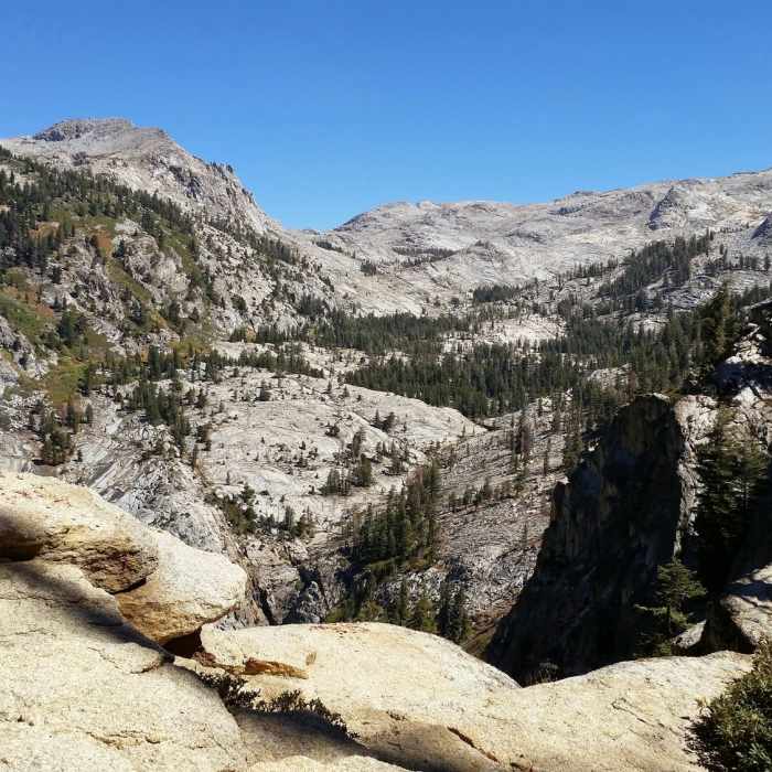 Near Giant Forest Loop Trail