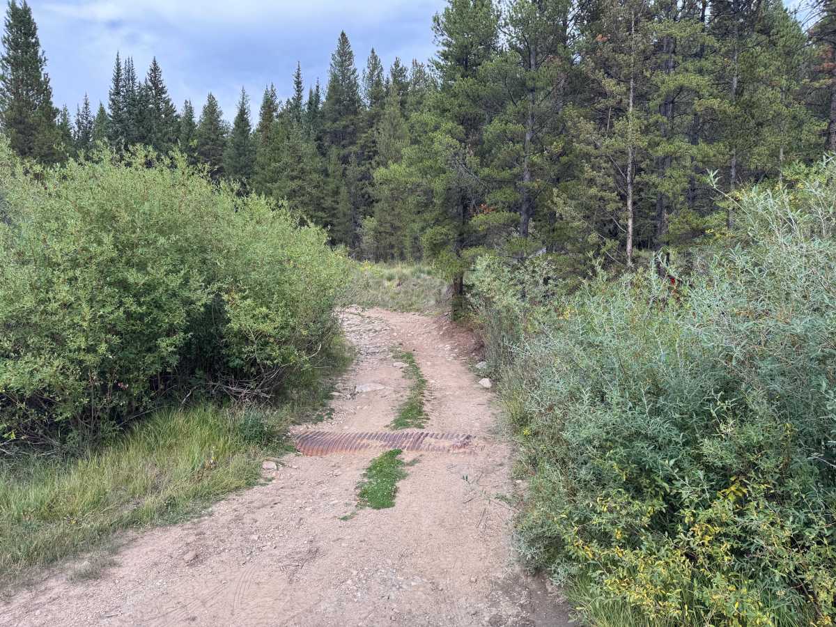 Jones Gulch Way Road trail photo