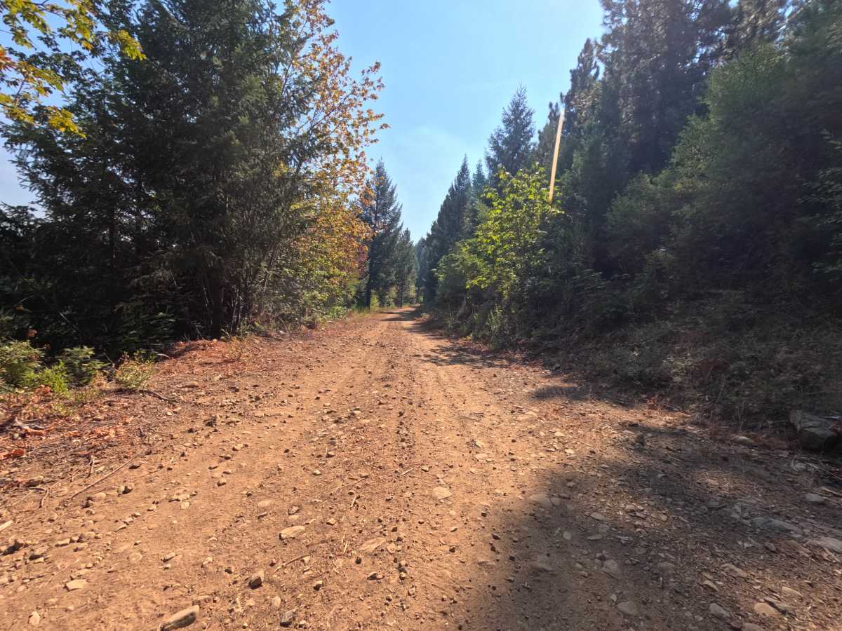 Moores Flat Road photo 4