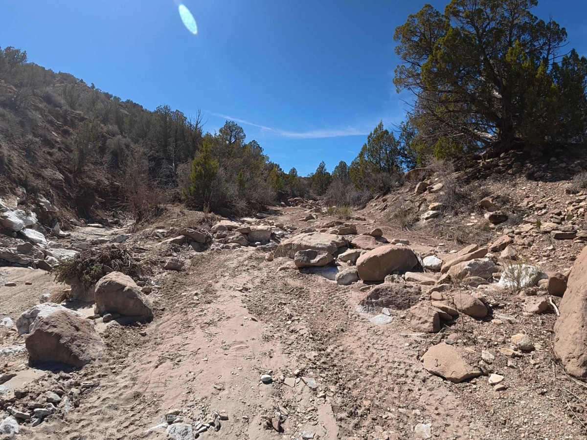 BLM 282 photo 5