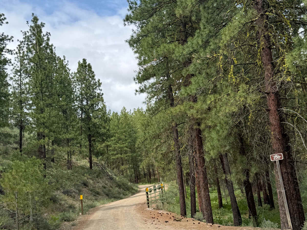 FS 5009-200 trail photo