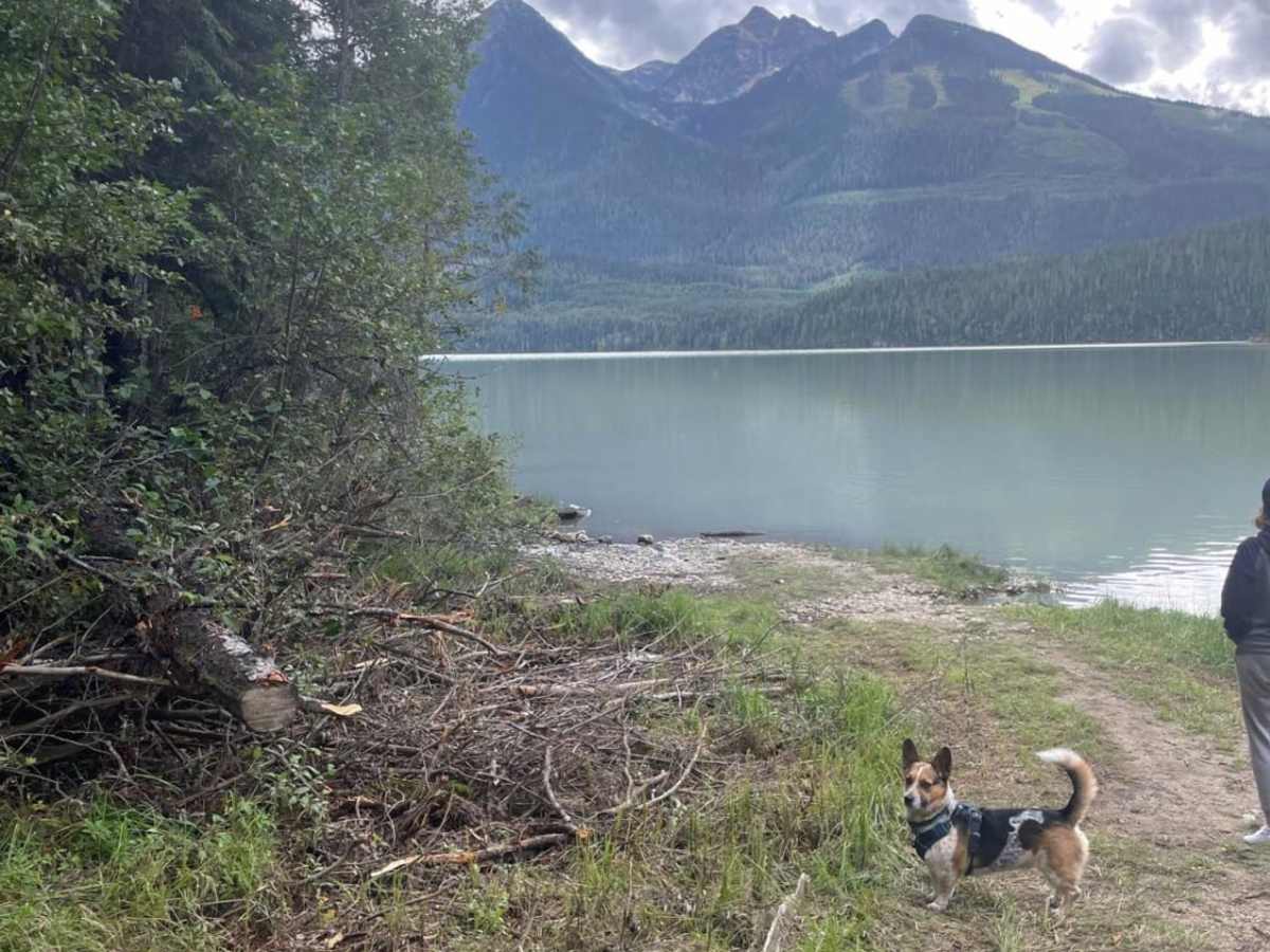 Mud Lake, BC photo 4