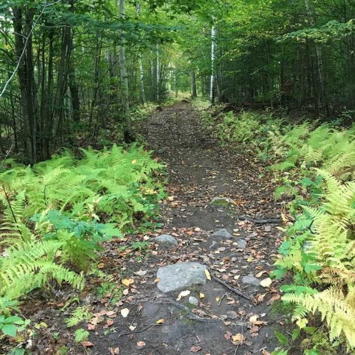 Looking up the north face ascent of Jewell Hill. Near Perimeter Trail