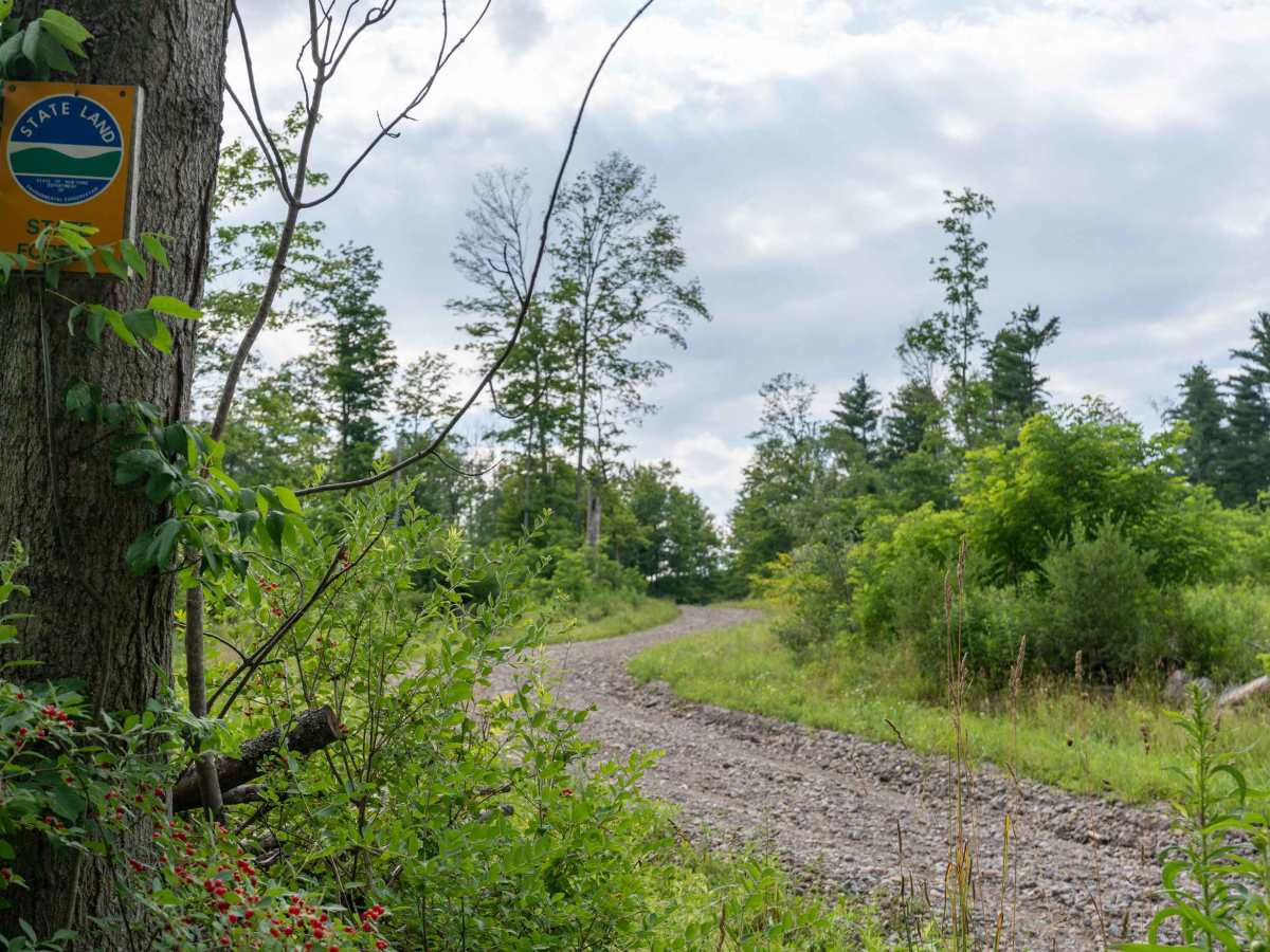 Stanley Road trail photo