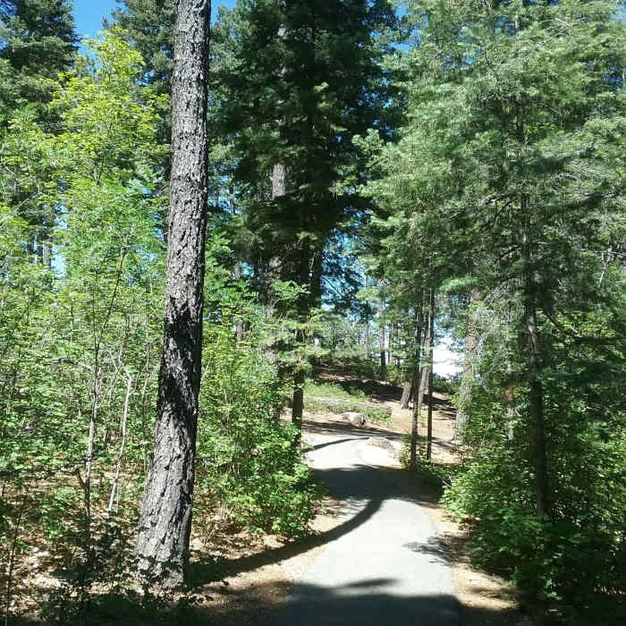 Near Overlook (T5001B)