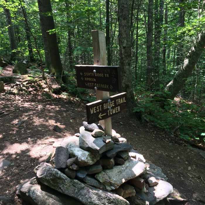 Junction between West and South Ridge Trails. Near Mount Cardigan via West Ridge Trail