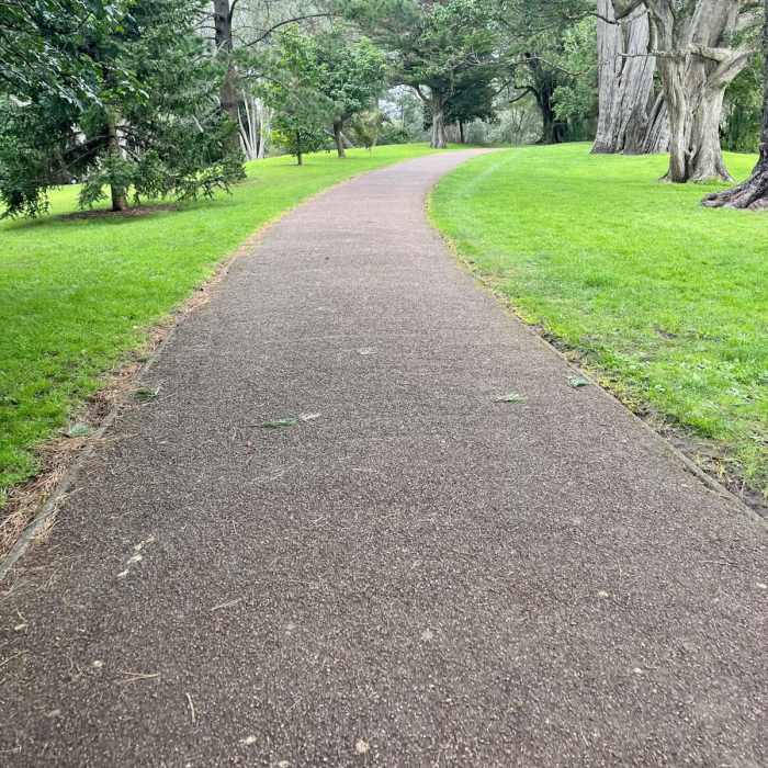 Near One Tree Hill Hike