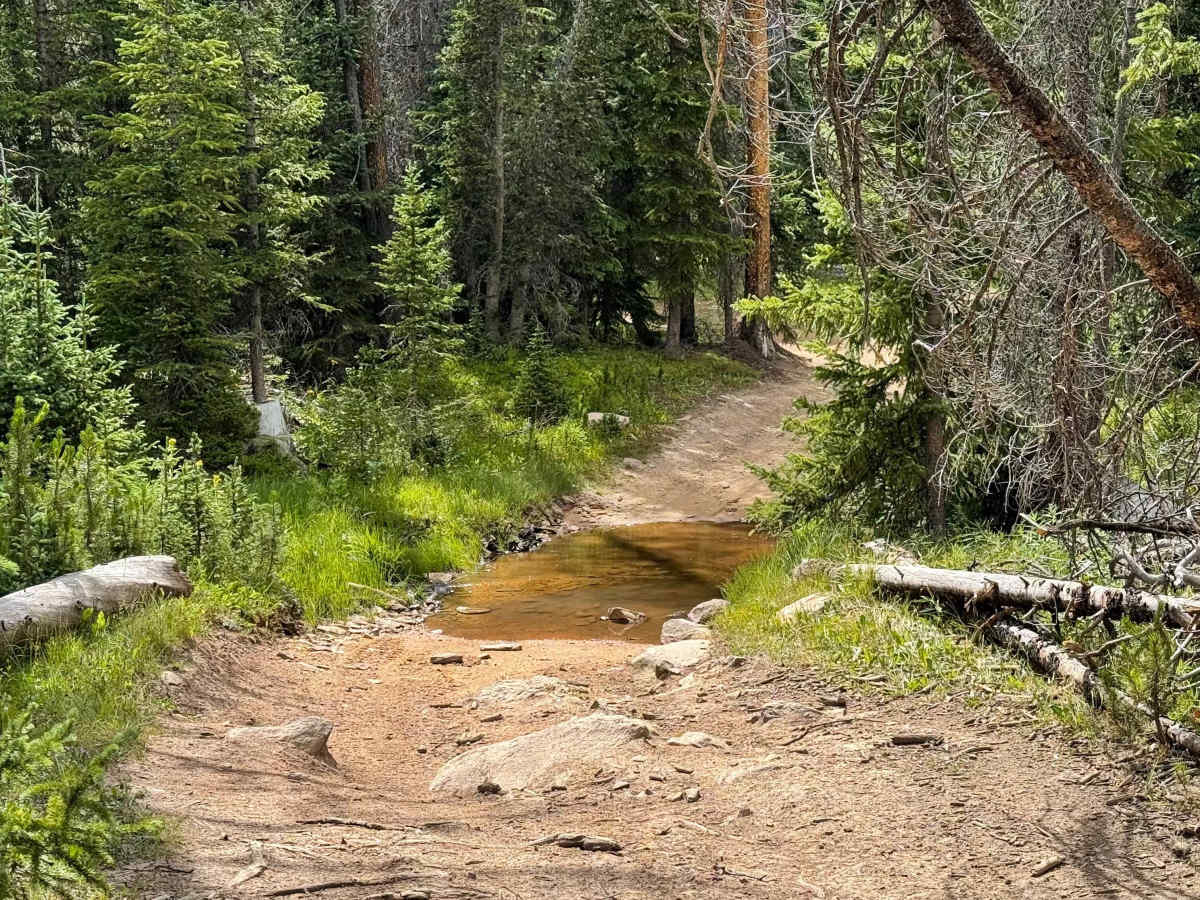 Nunn Creek Cutoff Road photo 4