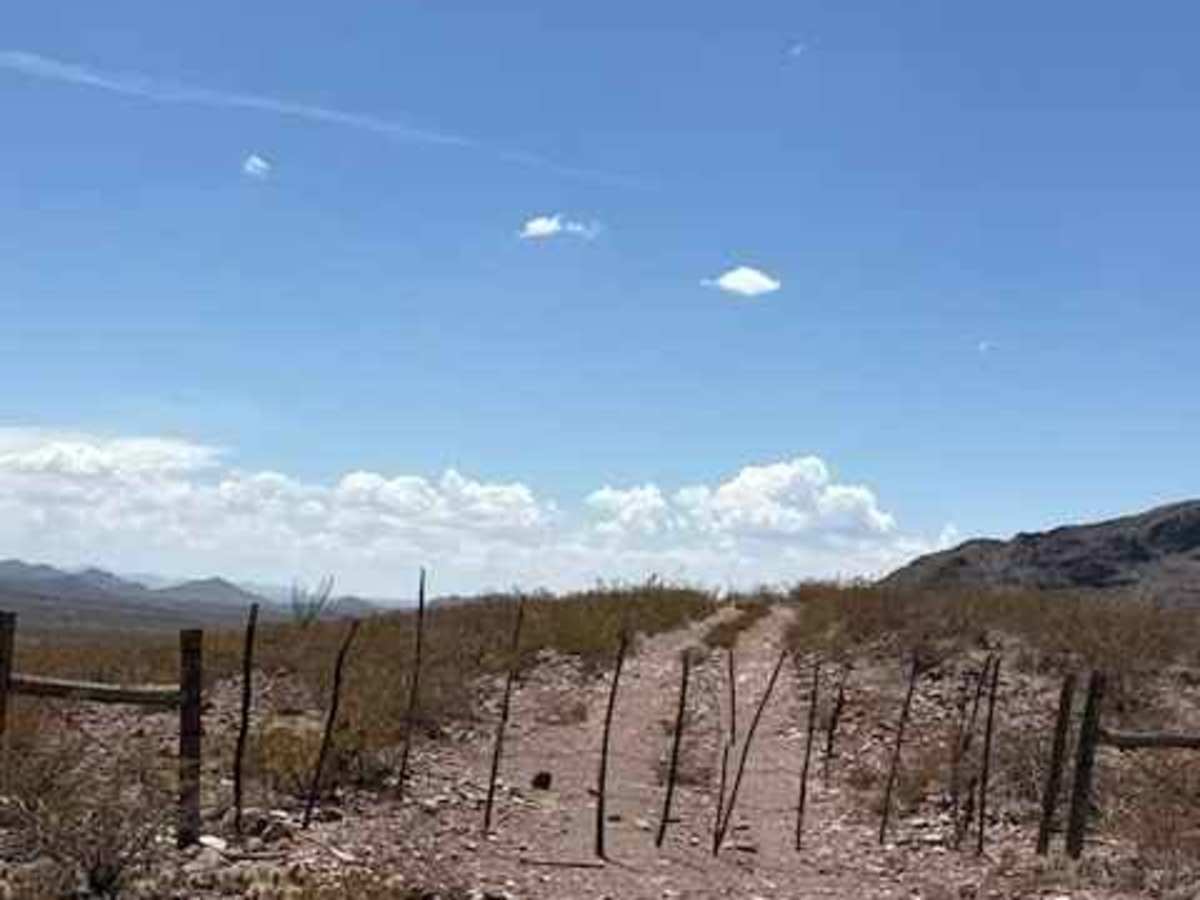 BLM PE1142 photo 3