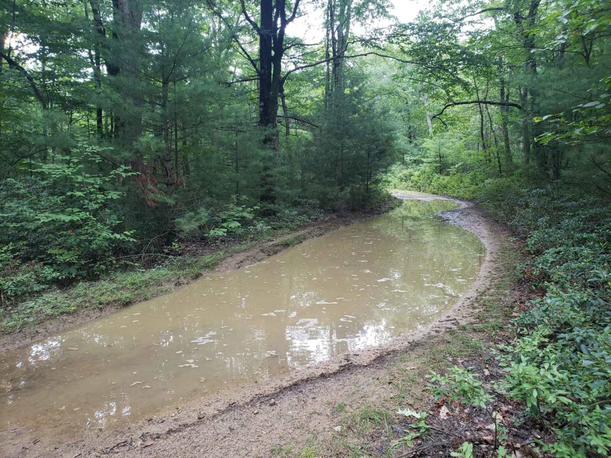 Strongs Mountain Trail photo 3