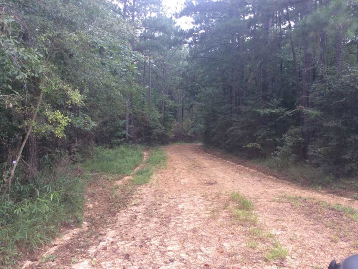 HCNF Woodlawn Trail photo 6
