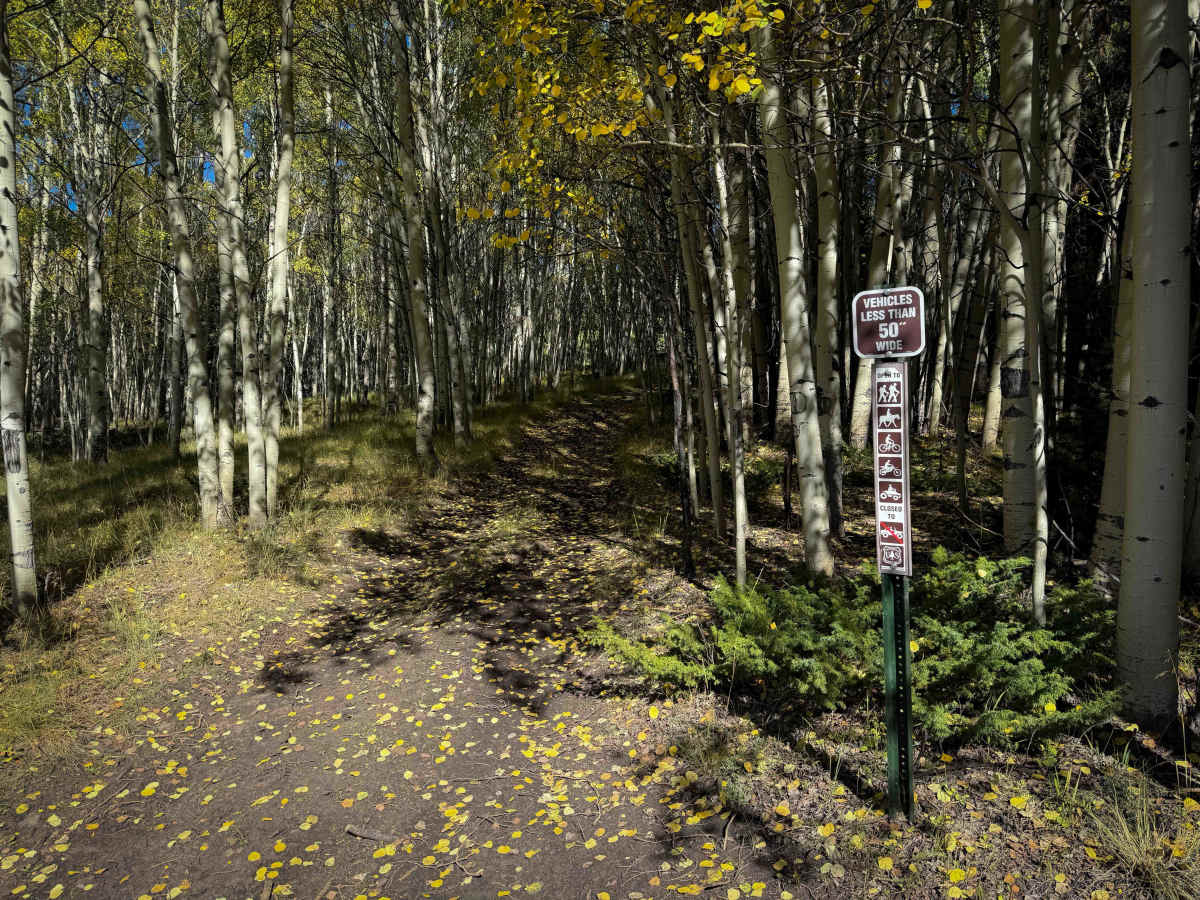 North Bald Pitkin Cut-Off Trail - FS 649  trail photo
