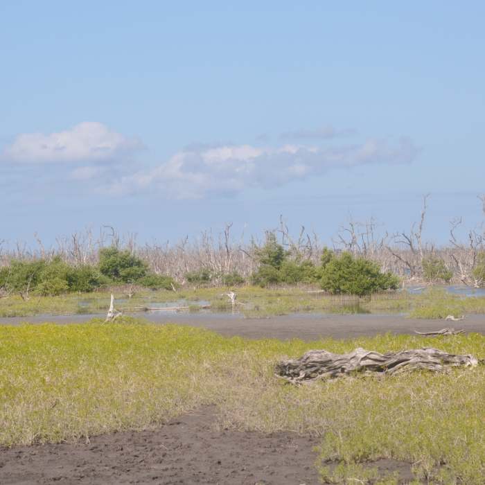Near Clubhouse Beach Out and Back