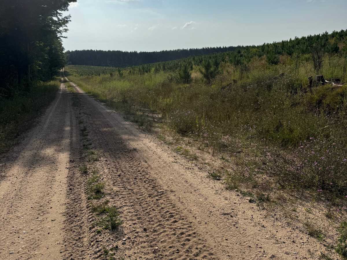 10-1/2 Trail trail photo