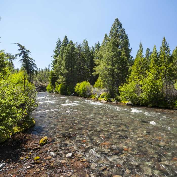Near Upper Whychus Creek Trail