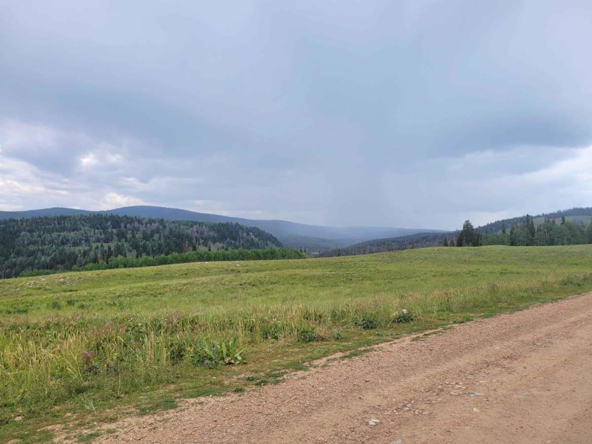 Soapstone Pass Trail photo 6