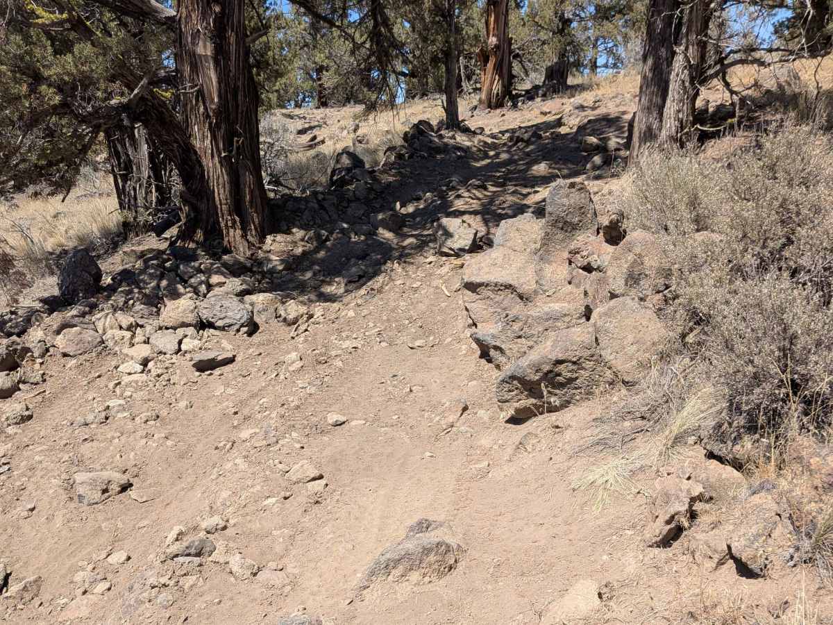 Cline Buttes Off Highway Vehicle Trail 41 trail photo