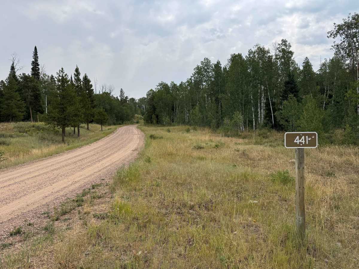 Wapiti Road - FS 441 trail photo