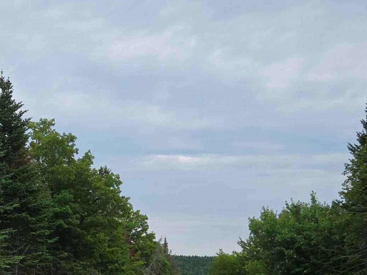 Caledonia Mountain  photo 5