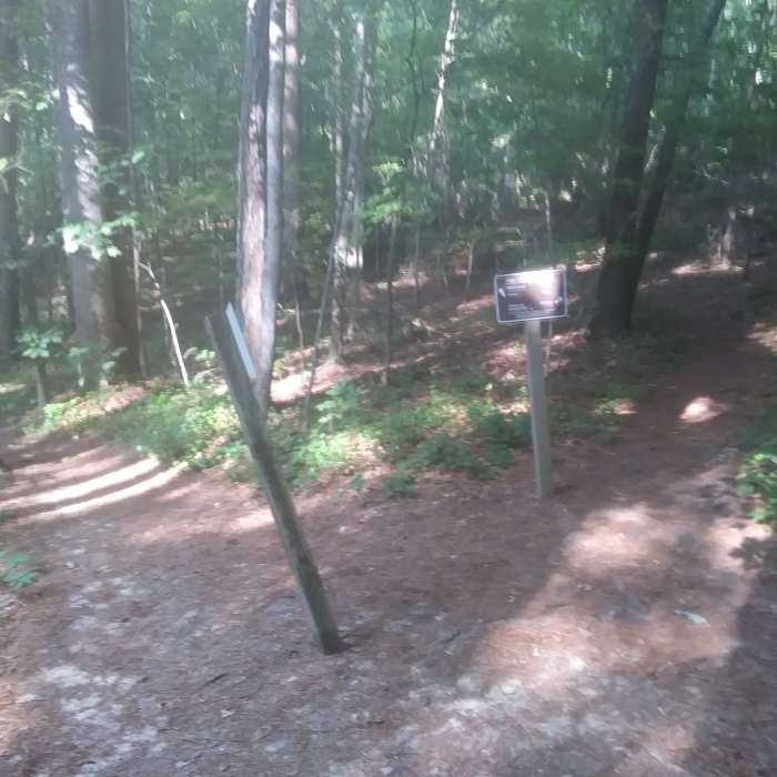 Near Falls Lake Trail - Section 1