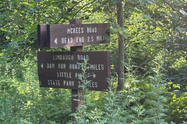 McKees Run Road