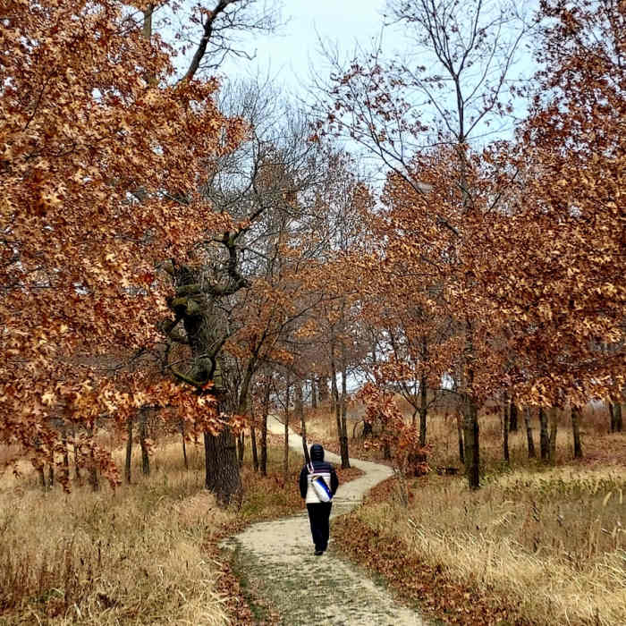 Near Water Lily Trail Near Water Lily Trail