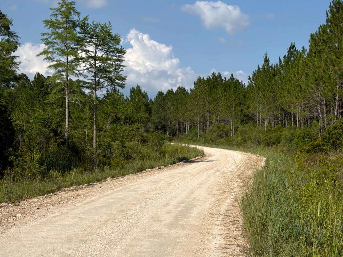 Car Body Road trail photo