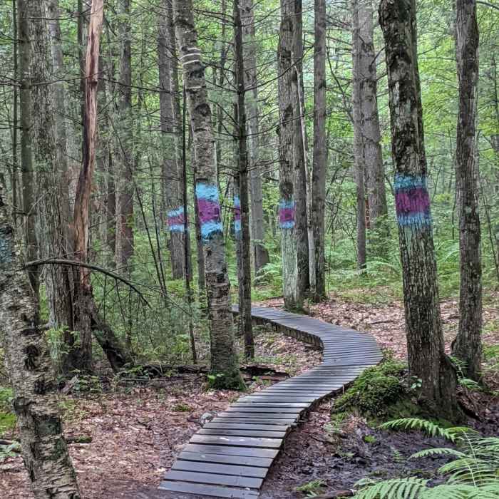 Near Lewis/Trow Mound Tour