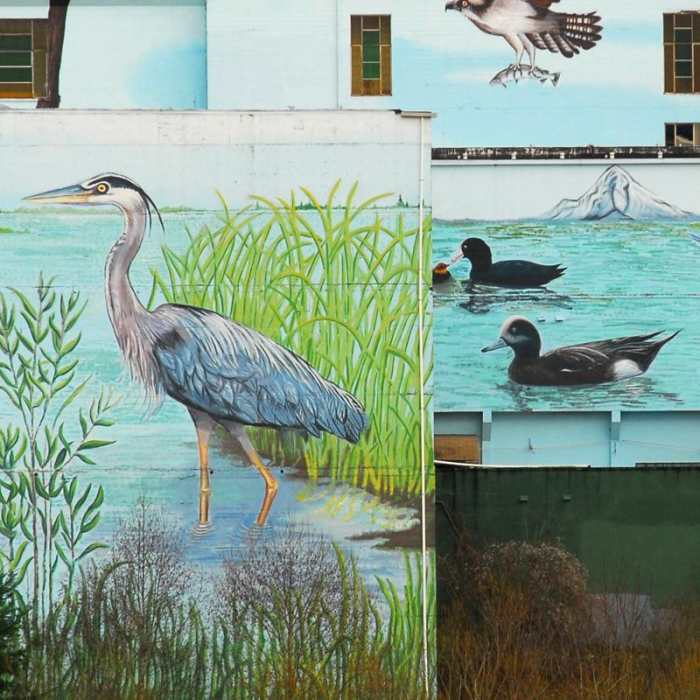 Near Oaks Bottom Hiking Trails