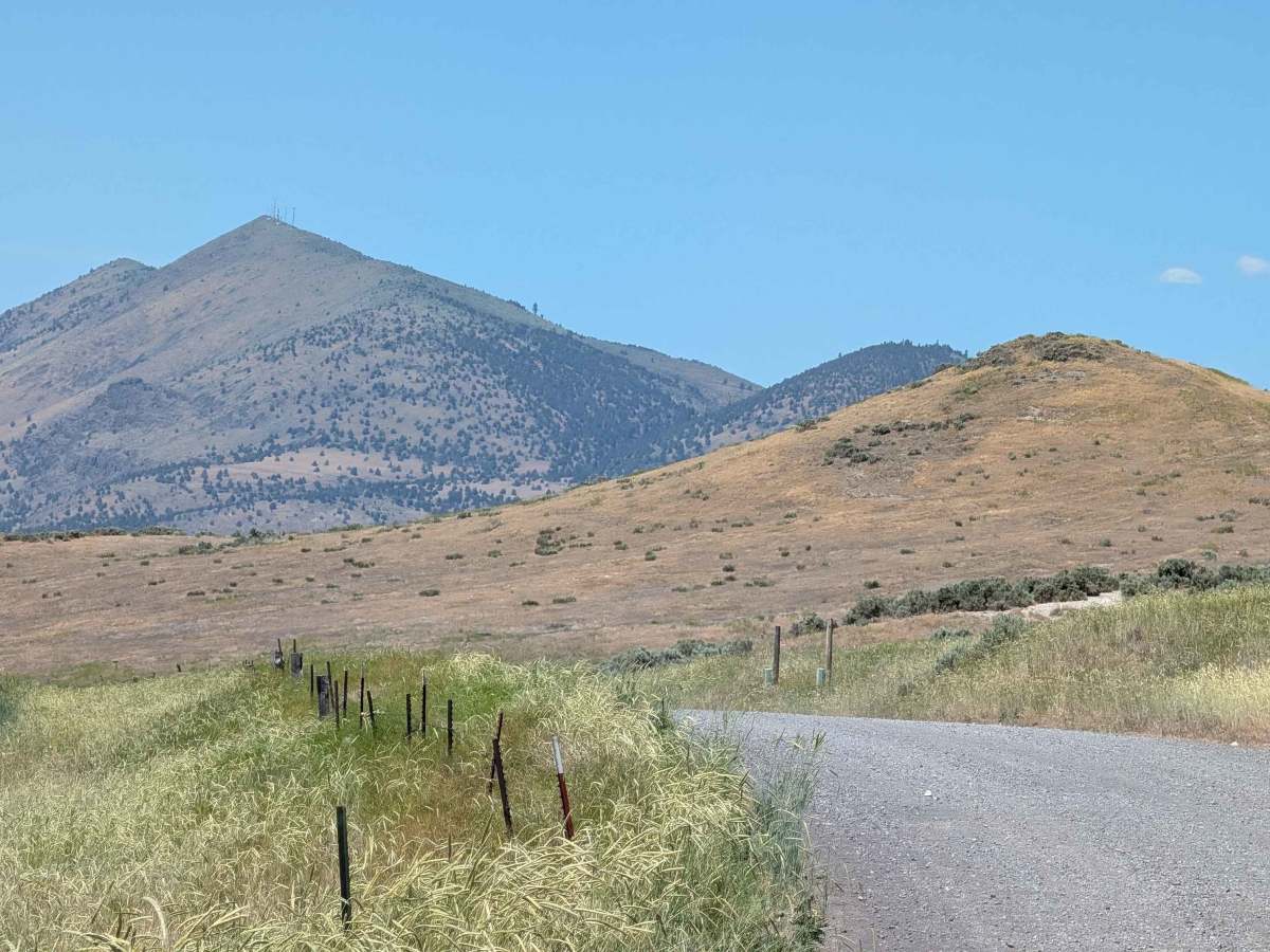 Lower Klamath Road photo 4
