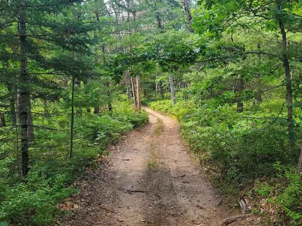The Outer Dogman Trail photo 5