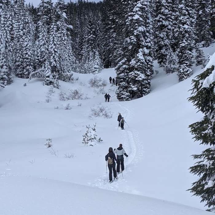 Near Forest Lake Trail