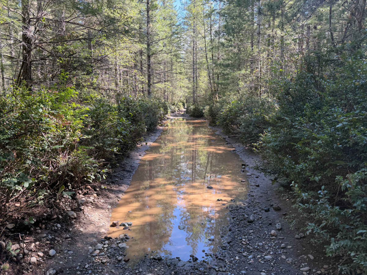 Overland Trail (North) photo 6