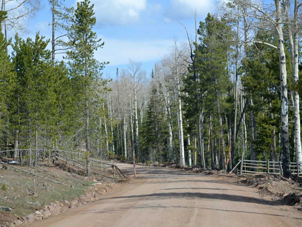 Taylor Mountain Road - FS 10044 photo 2