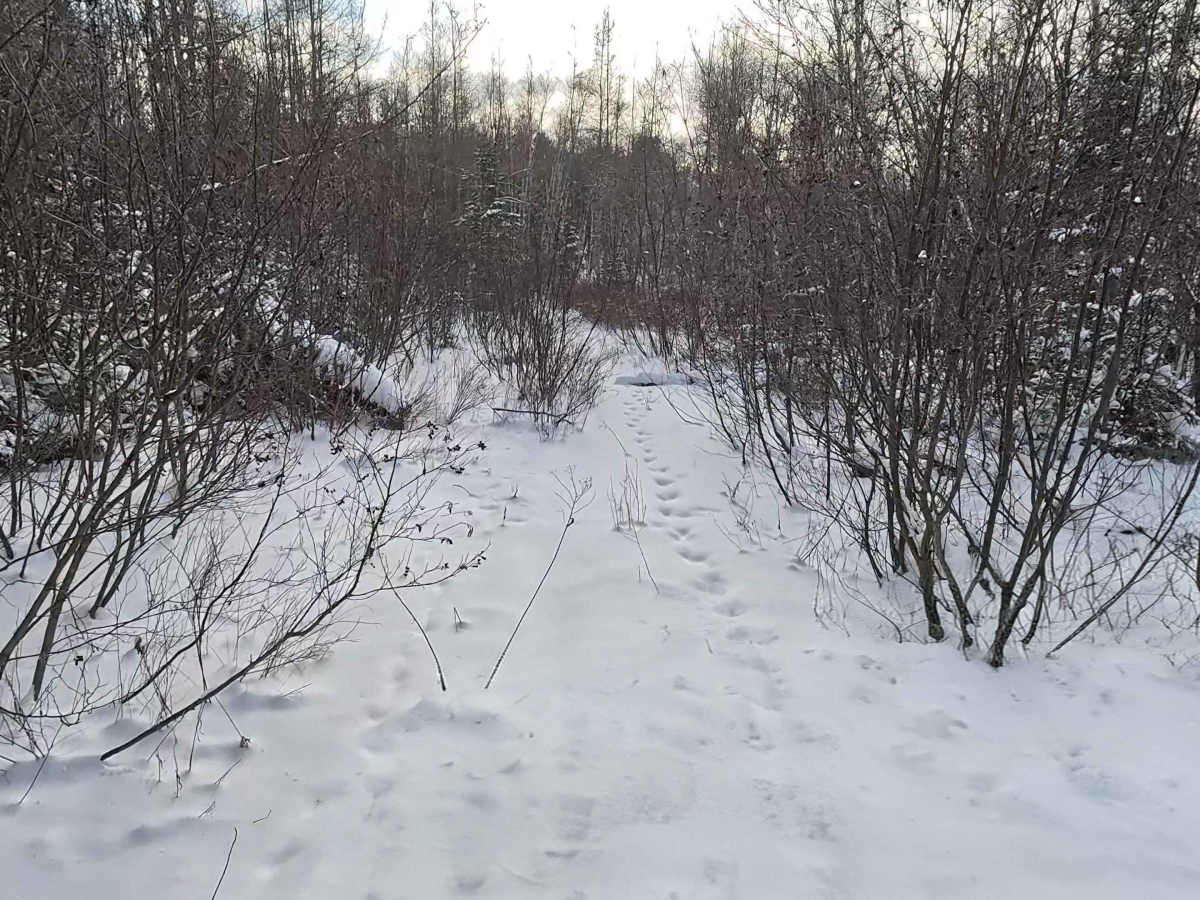 Douglas Hydro Bypass trail photo
