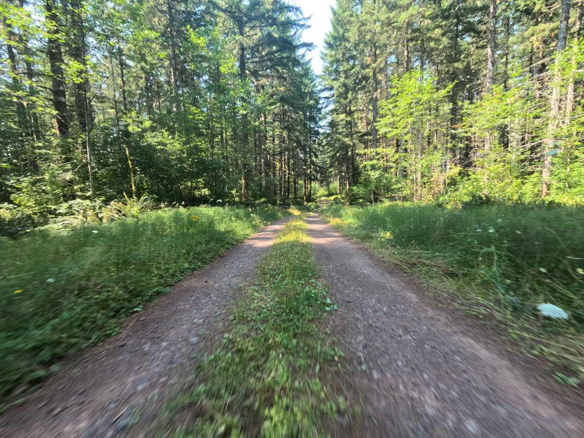 W-3000 trail photo