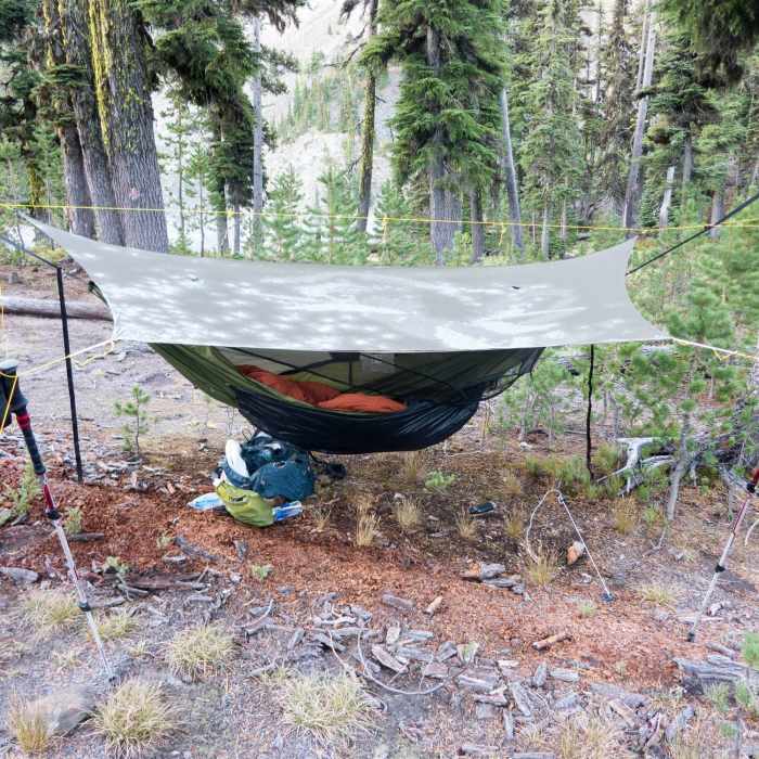 Near Cliff Lake Trail #983