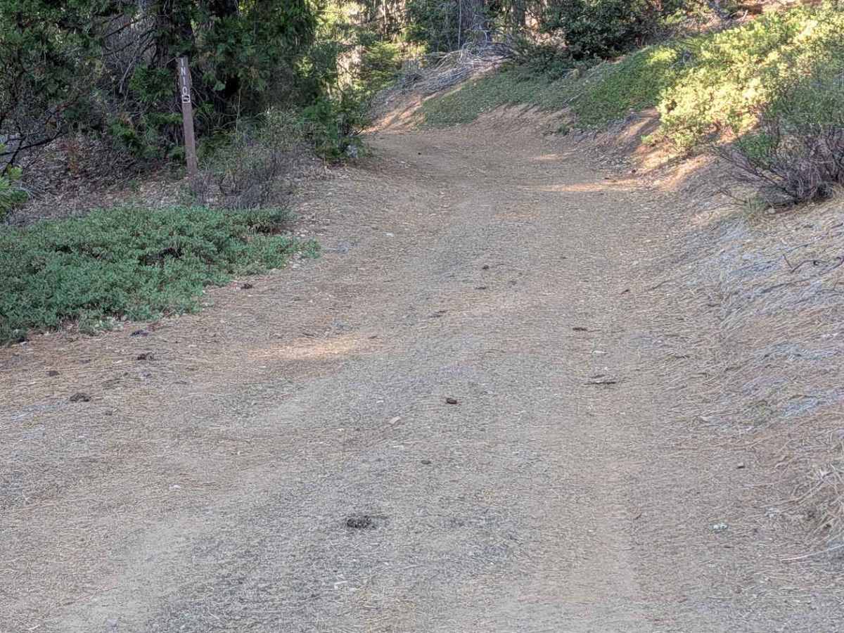 Bear Wallow Meadow Road - FS 1N14 trail photo