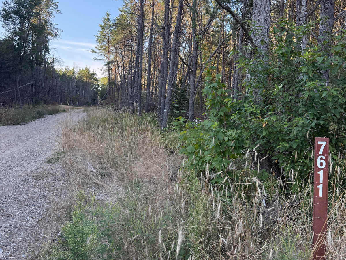 FS 7611 trail photo