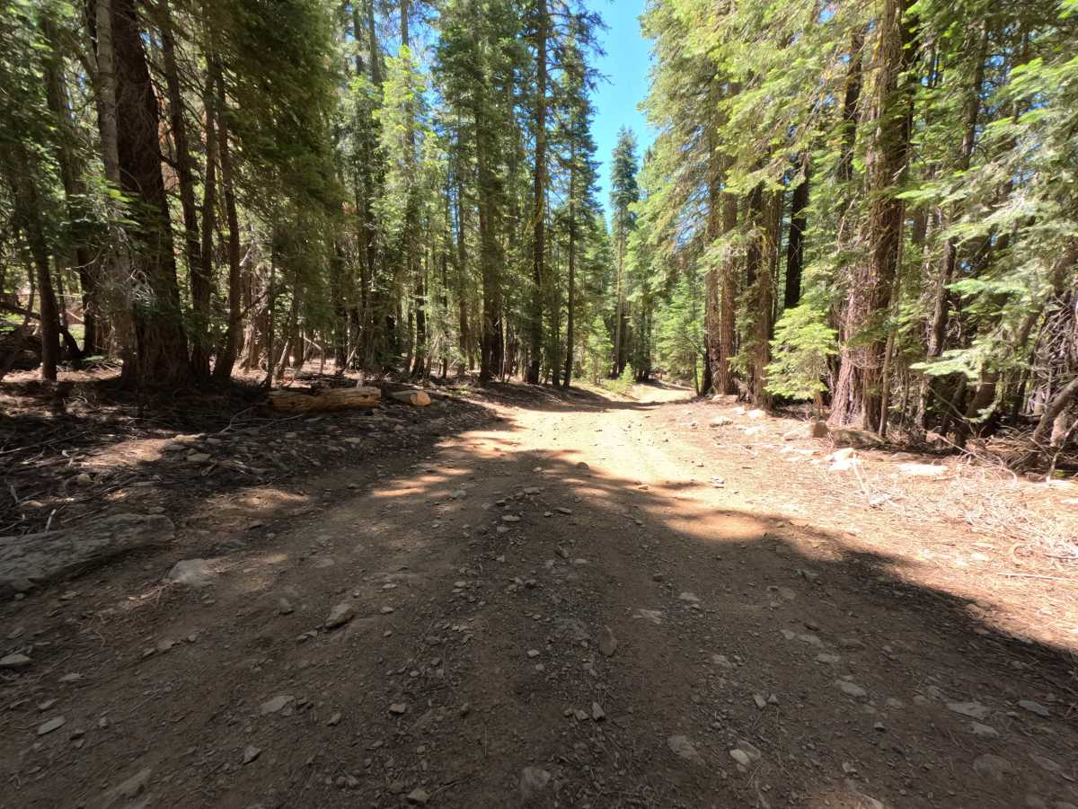Sawtooth - Spur D photo 3