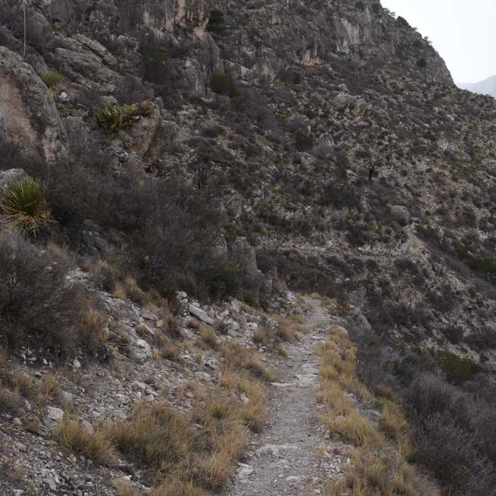 Near Devil's Hall Loop Near Devil's Hall Loop