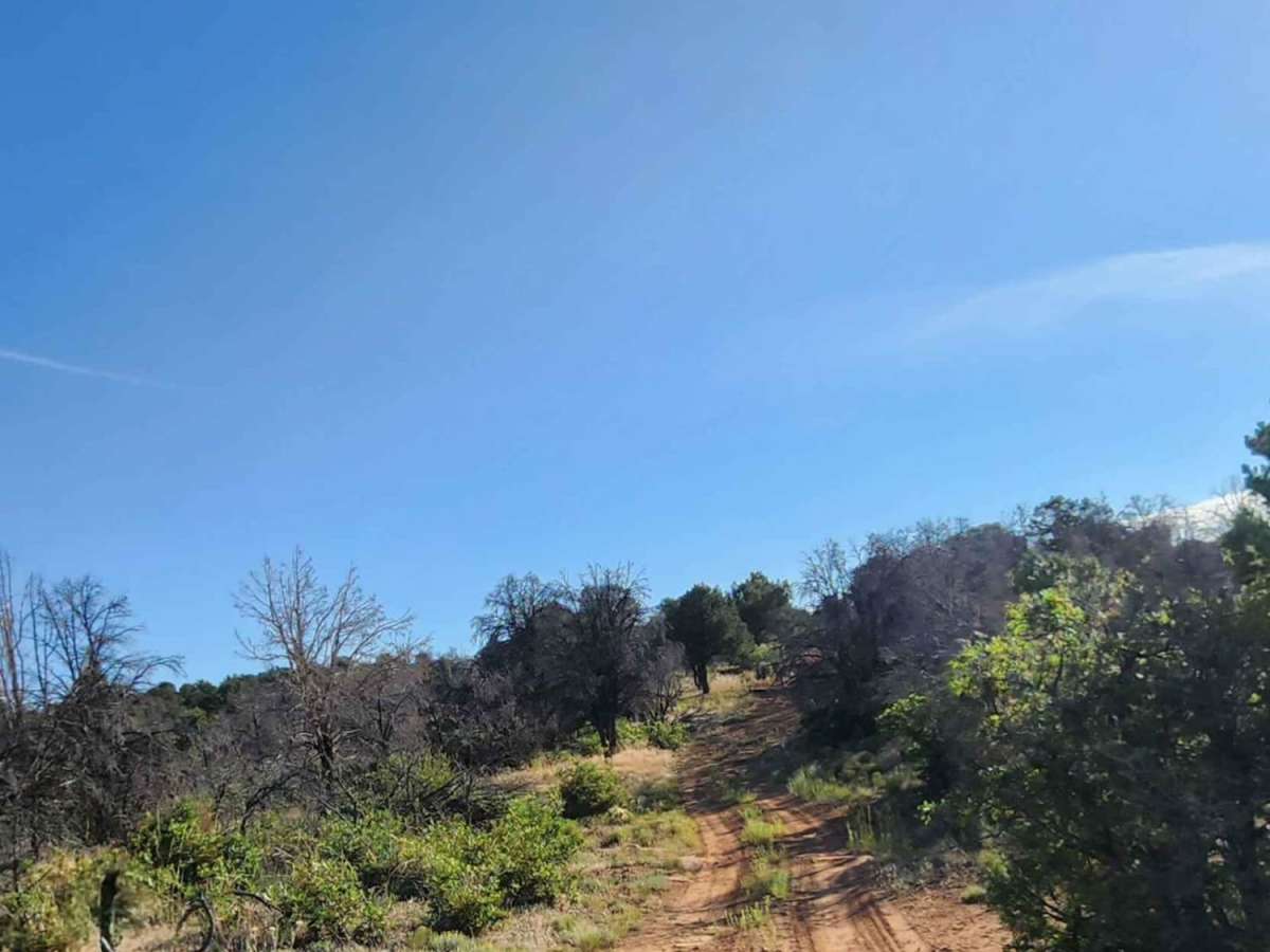 Beaver Rim Road photo 6