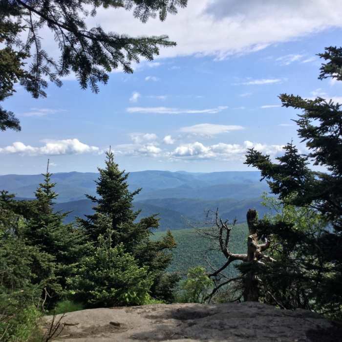Near Burroughs Range Trail (Wittenburg Cornell Slide Trail)