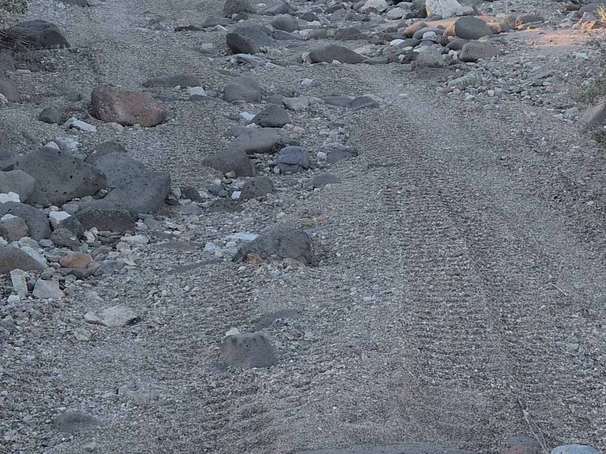 BLM 654 photo 2