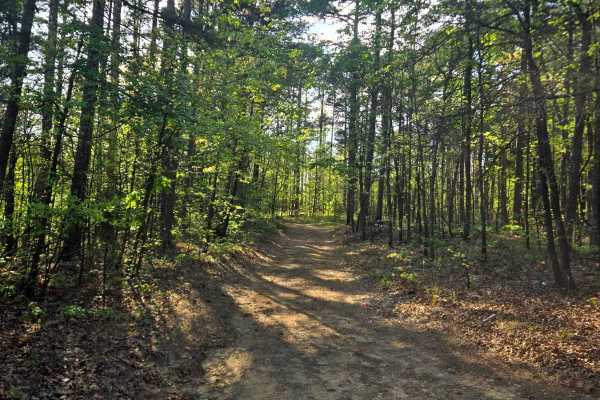 Ford Ridge