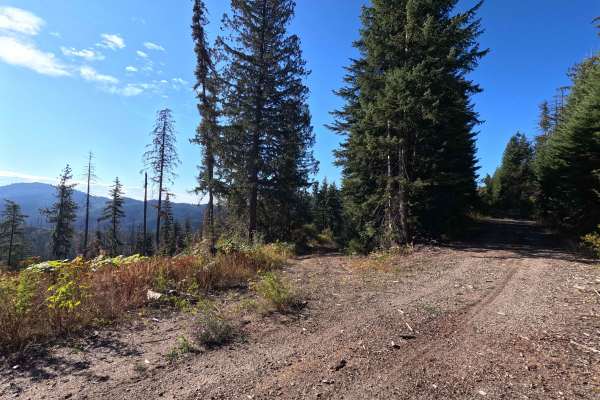 Klahowya Creek J - FS 1075J