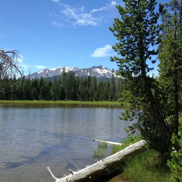 Diamond View Lake. Near Diamond Peak Loop