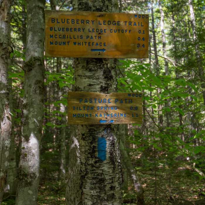 Near Mount Whiteface via Blueberry Ledge Trail Near Mount Whiteface via Blueberry Ledge Trail