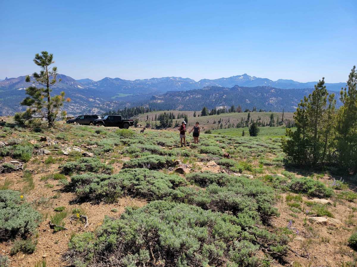 Pistol Point Trail photo 2