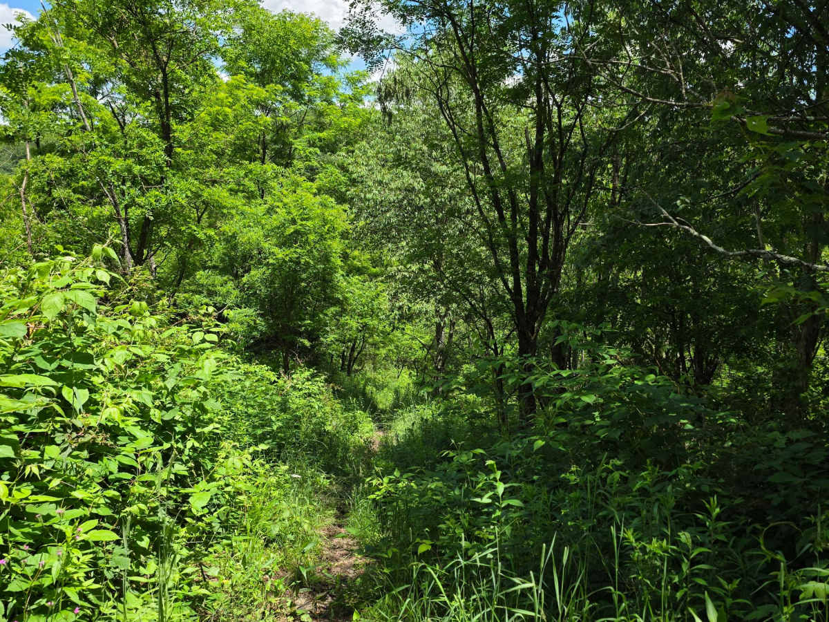 Single Track AC photo 4